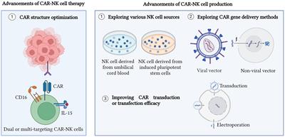 Chimeric antigen receptor-natural killer cell therapy: current advancements and strategies to overcome challenges